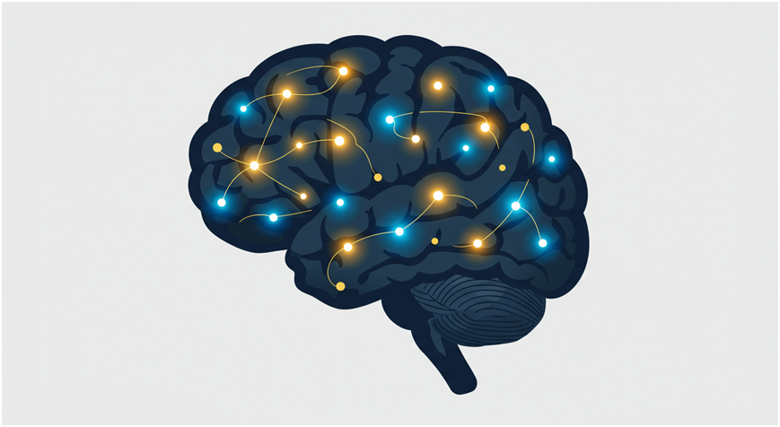 青少年的情绪，到底是谁在“开车”？ ——从情绪神经科学，看懂孩子的波动、叛逆与突然爆炸